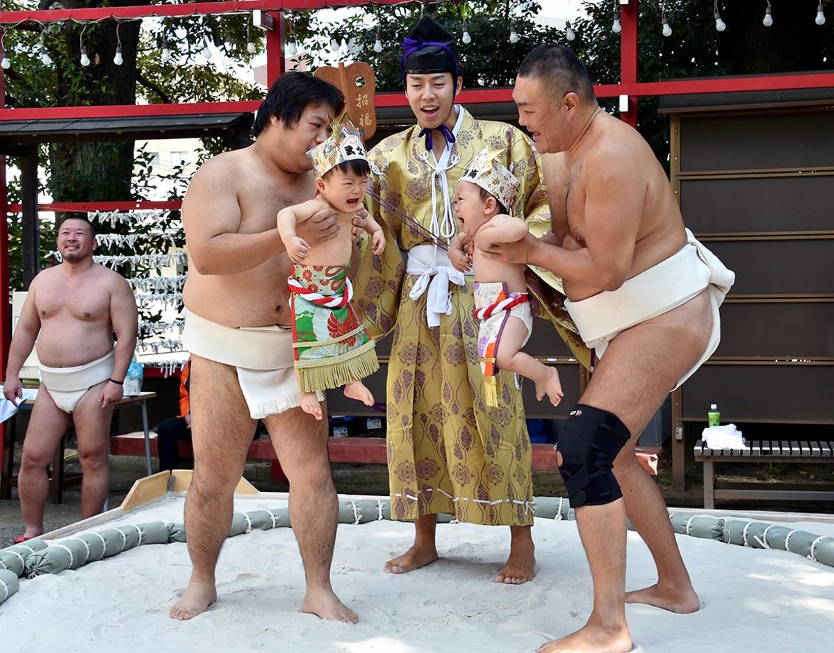 wacky-sumo-455832314_master.jpg