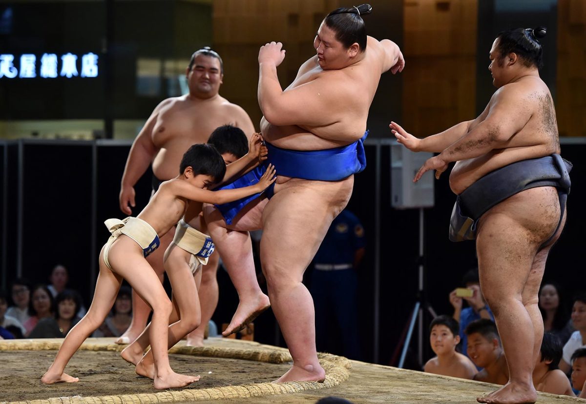 wacky-sumo-485670160_master.jpg