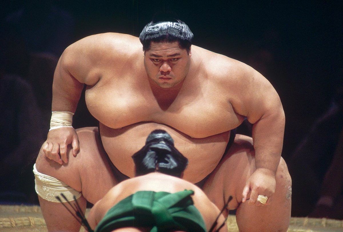 wacky-sumo001296499.jpg