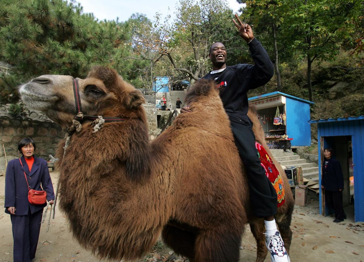 2004-Dikembe-Mutombo-camel-Great-Wall-of-China.jpg