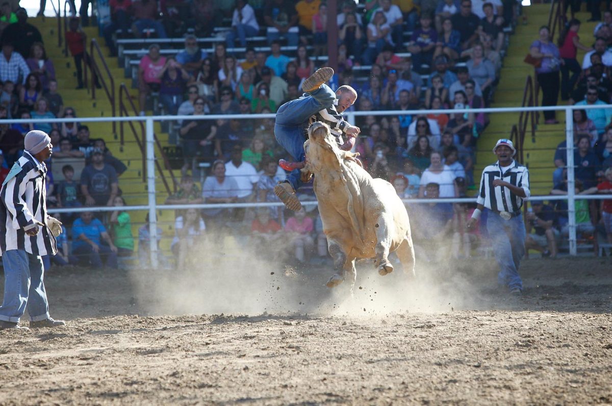 Angola Prison Rodeo Sports Illustrated