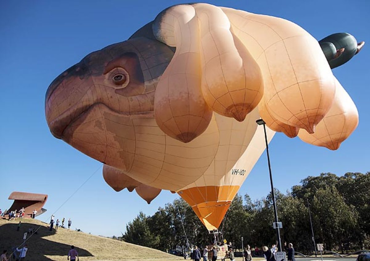 131205142735-skywhale-single-image-cut.jpg