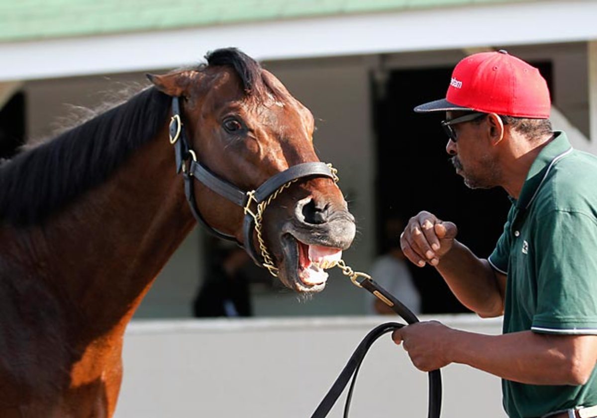 130503113552-horse-kentucky-derby-orb-gm1e95300-single-image-cut.jpg