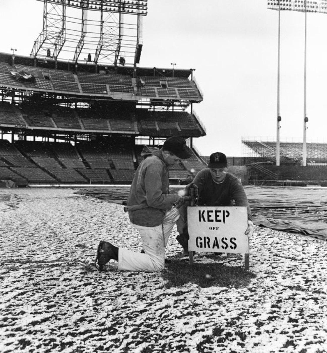 Twins Groundscrew