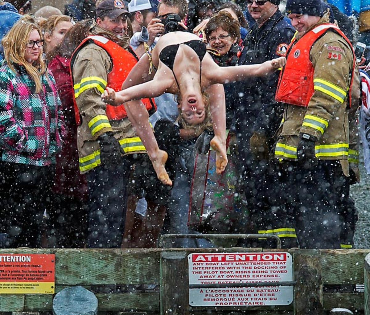 Polar Bear Dip