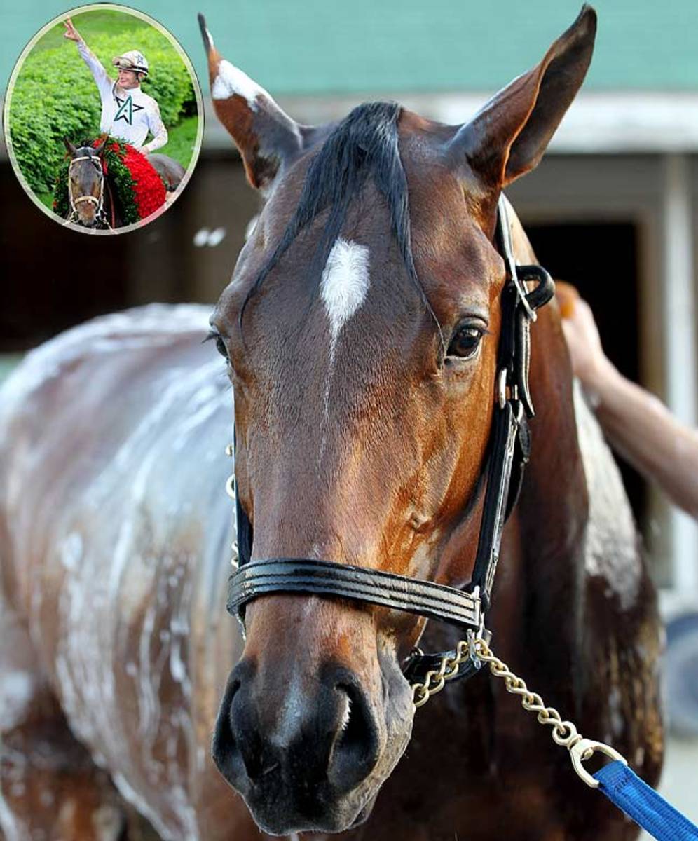 2010 Kentucky Derby 