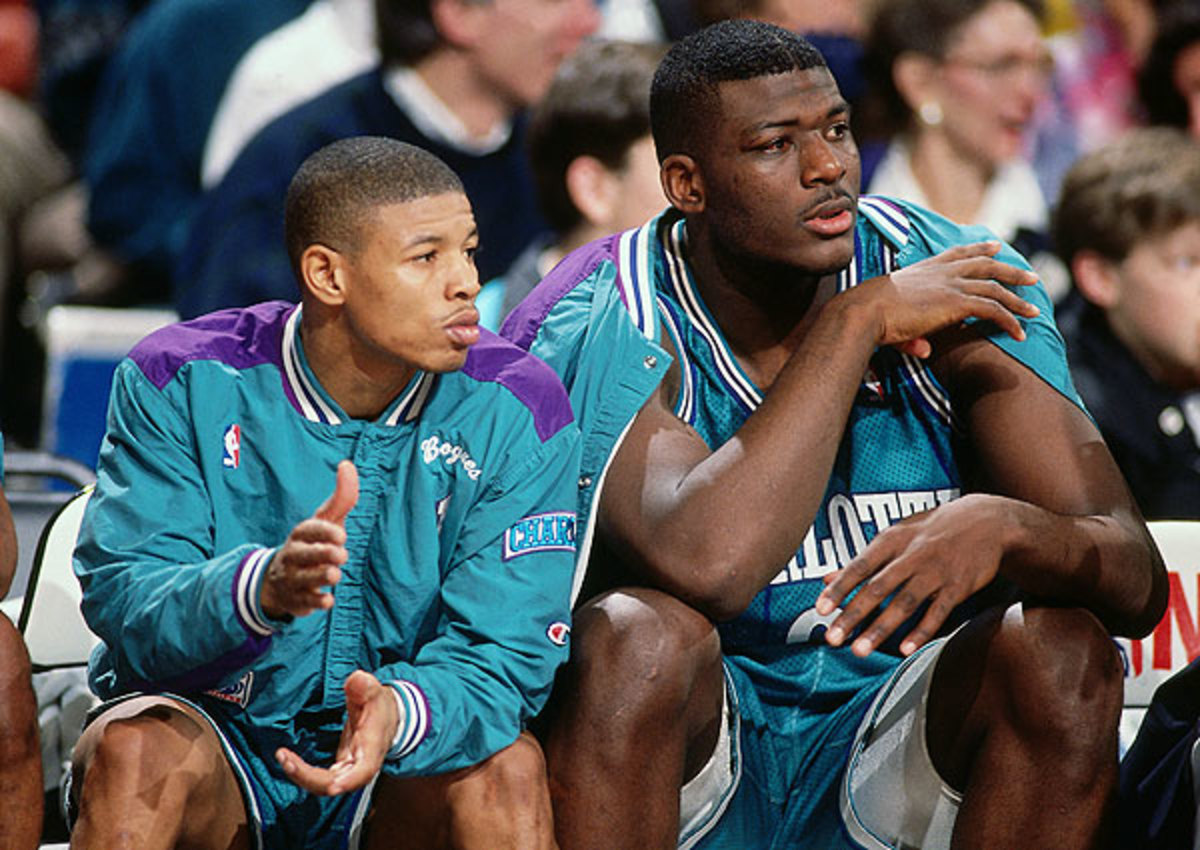 Will the Charlotte Hornets bring back the purple, teal and white ...