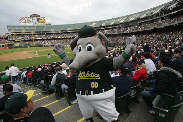 Picking MLB Division Series Winners Based on Their Mascots