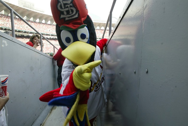 Fredbird - St. Louis Cardinals Mascot – mlbmascot