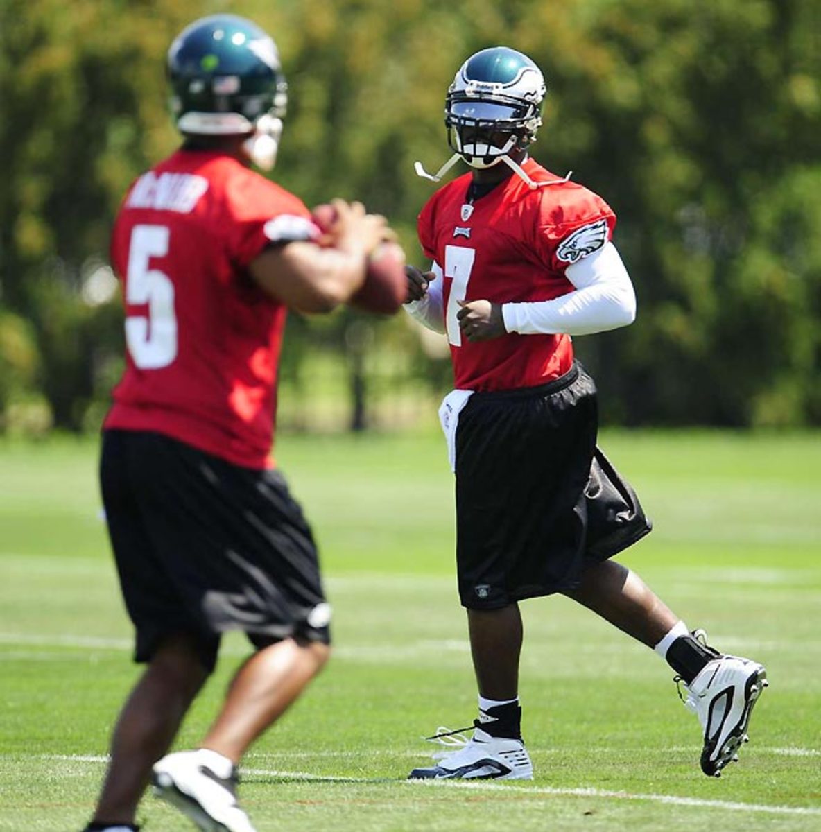 Vick-McNabb.jpg