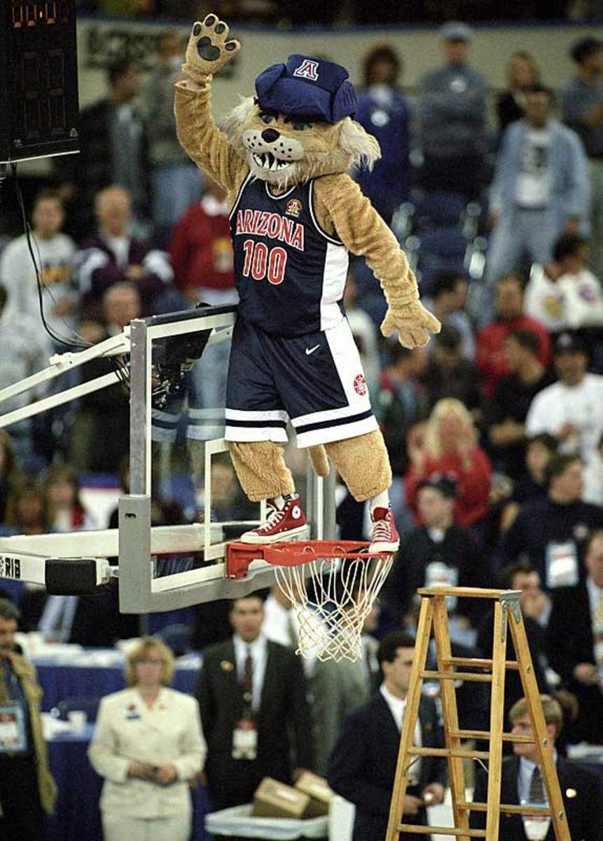 Arizona Wildcat