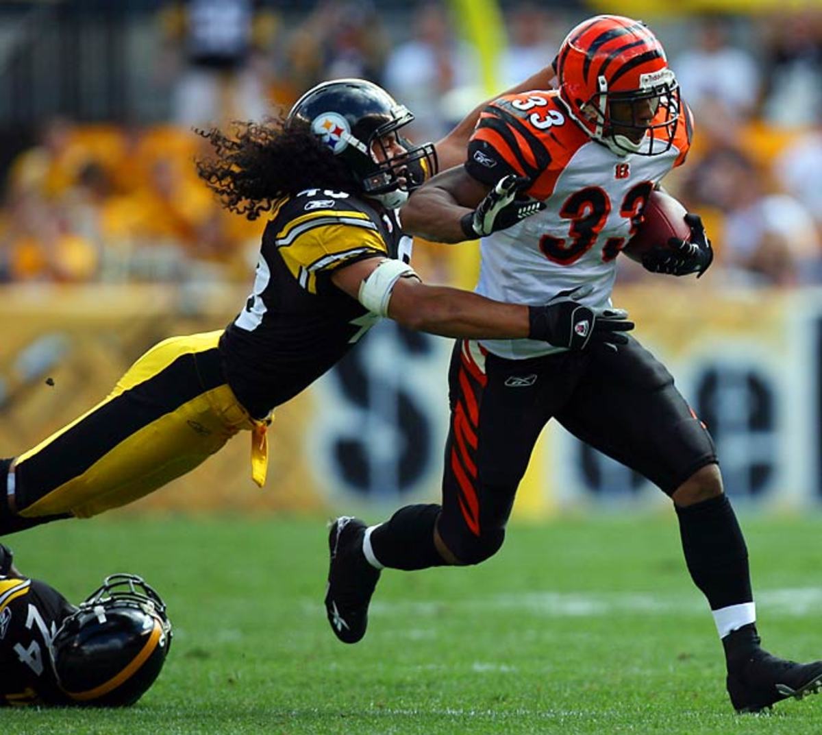 Troy Polamalu