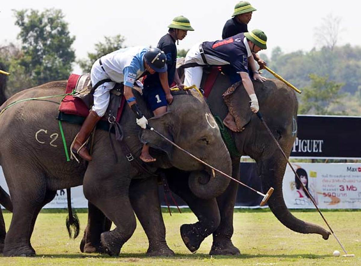 Elephant Polo