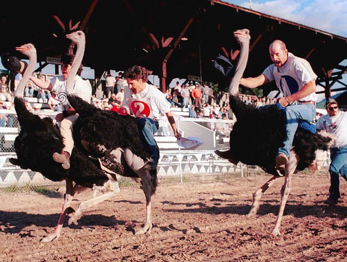 Ostrich Racing