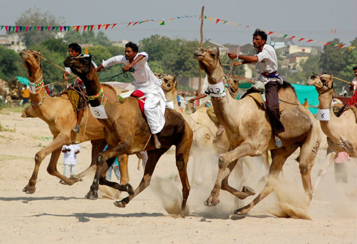 APTOPIX-India-Camel-Festival.jpg