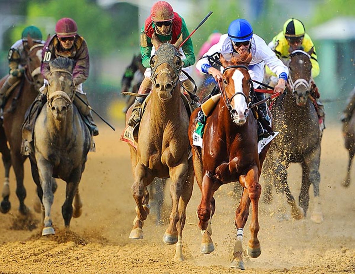 Shackleford and Animal Kingdom