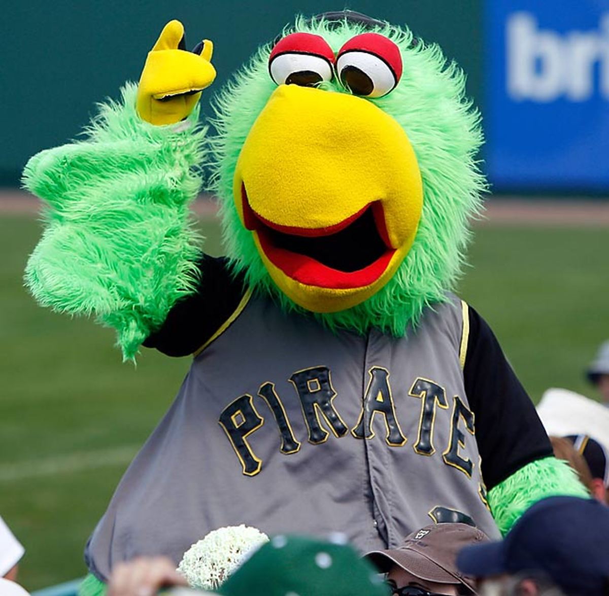 Pirate Parrot