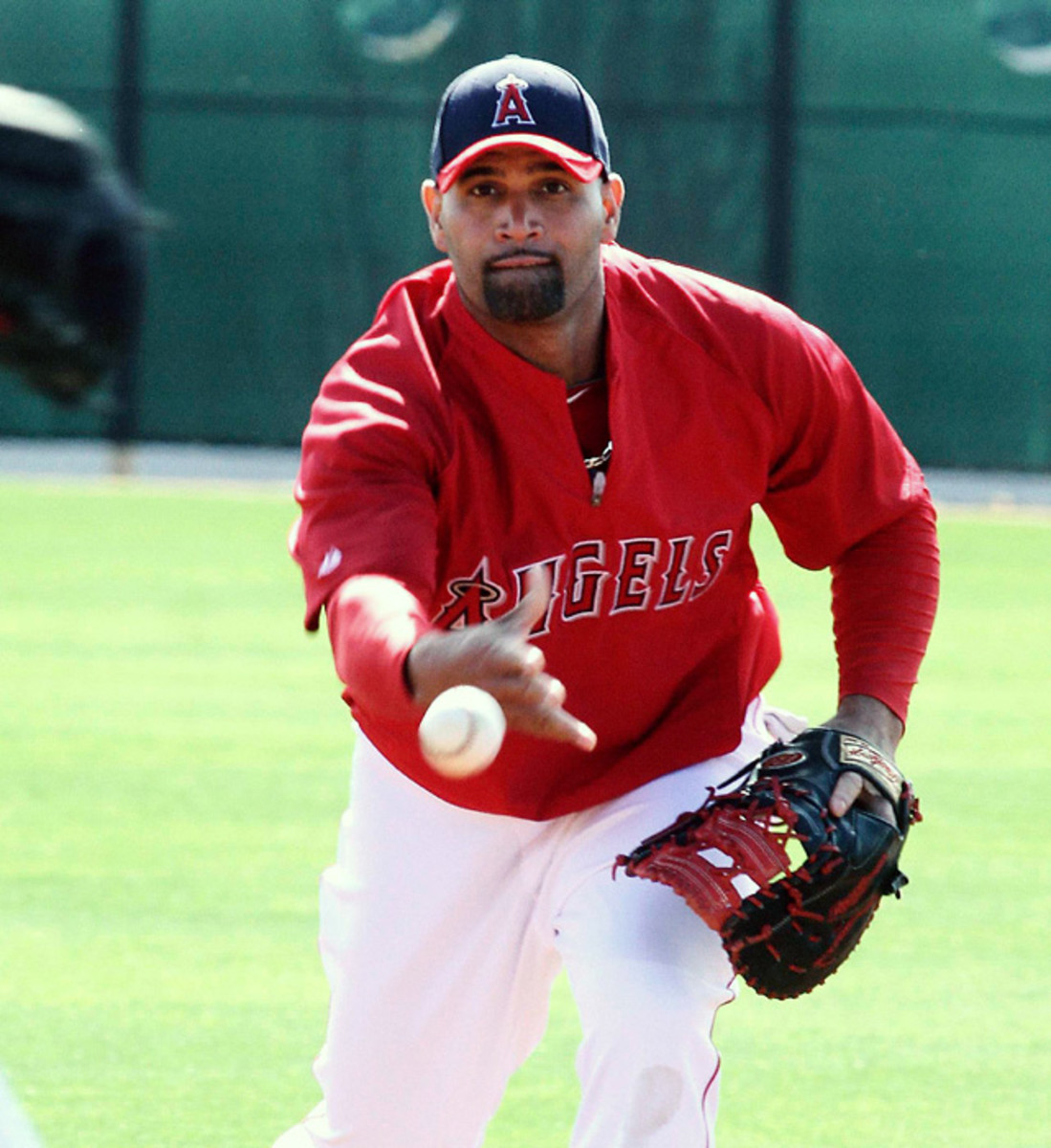 Albert Pujols