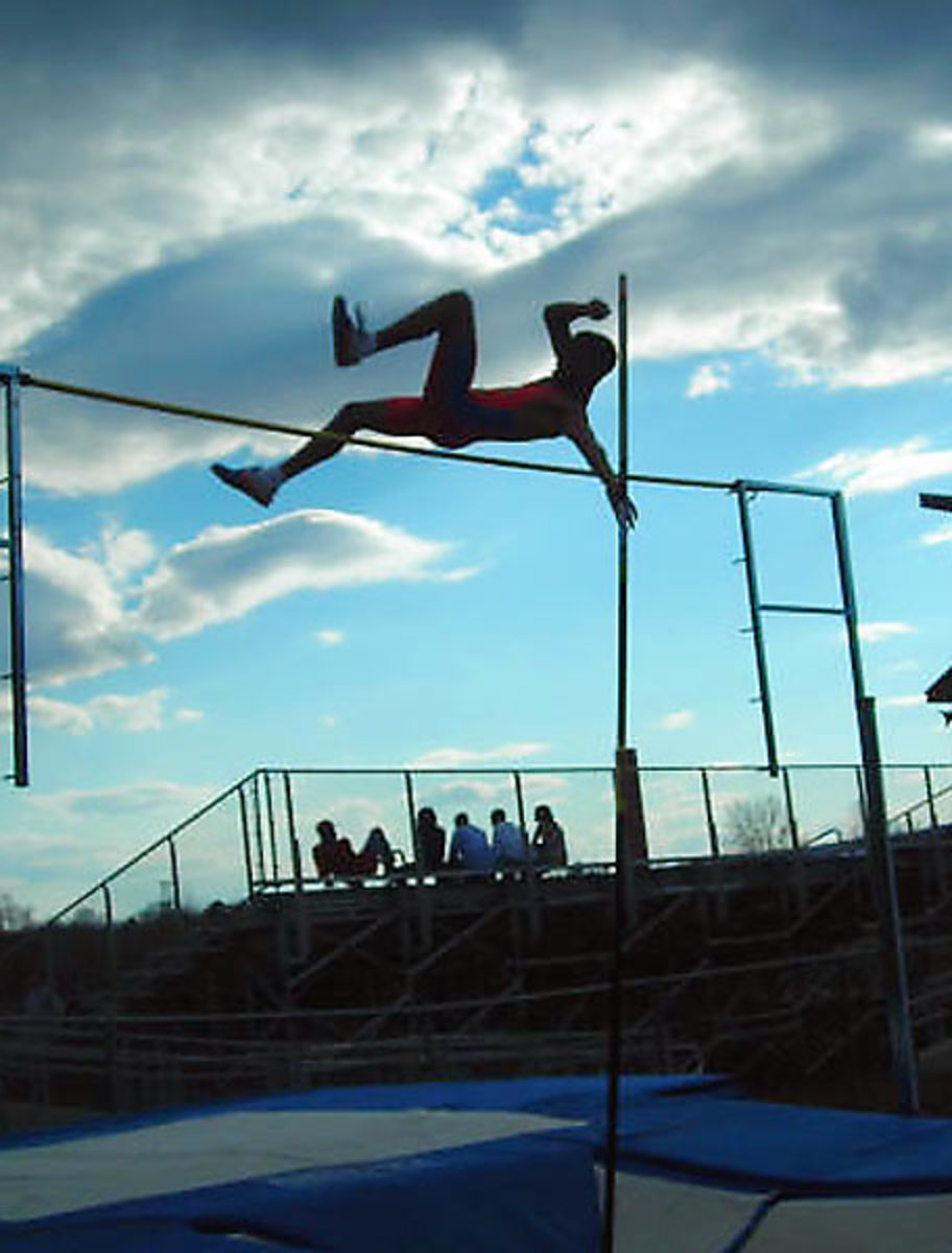 VAULTING INTO THE SKY