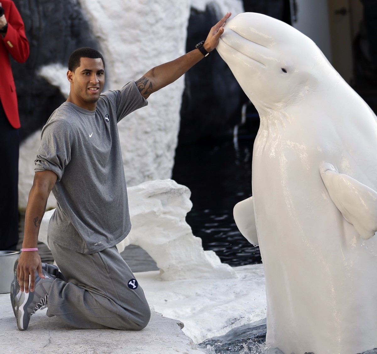 Here is BYU's Cody Hoffman high-fiving a beluga whale, in the face. We love the Poinsettia Bowl. (AP)