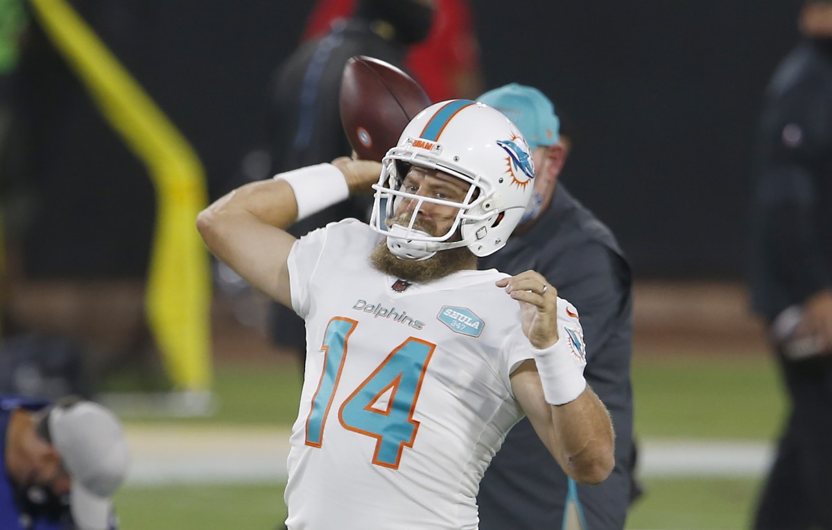 Dolphins' Hollins overcomes drop, joins Fitz to create legendary