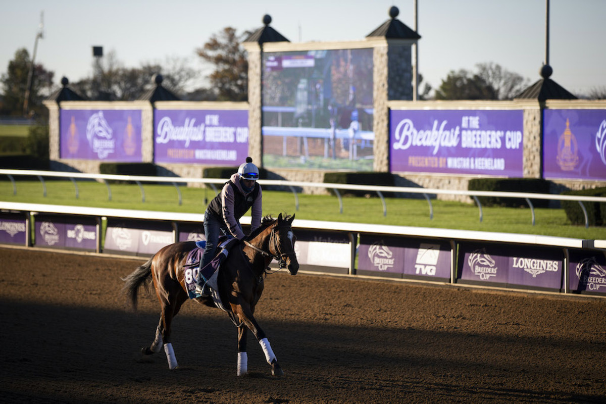 Breeders' Cup Juvenile Turf Sprint: Odds, Best Bets, Wagers And More ...