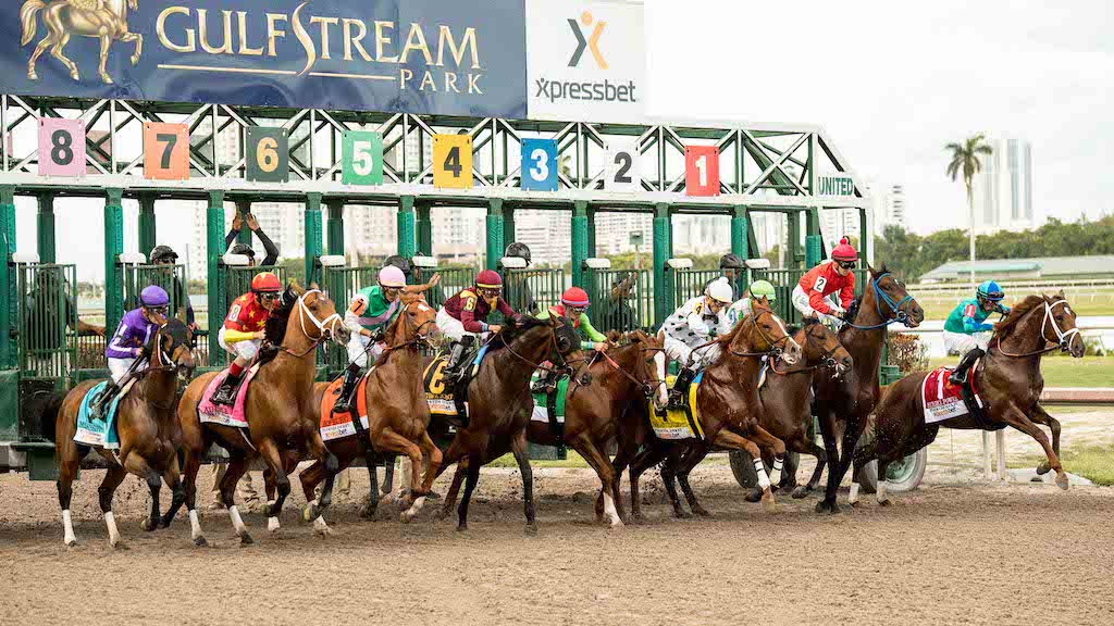Betting World Horse Racing