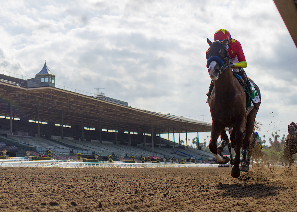 Horse Race of the Week Robert B. Lewis Stakes Sports Illustrated