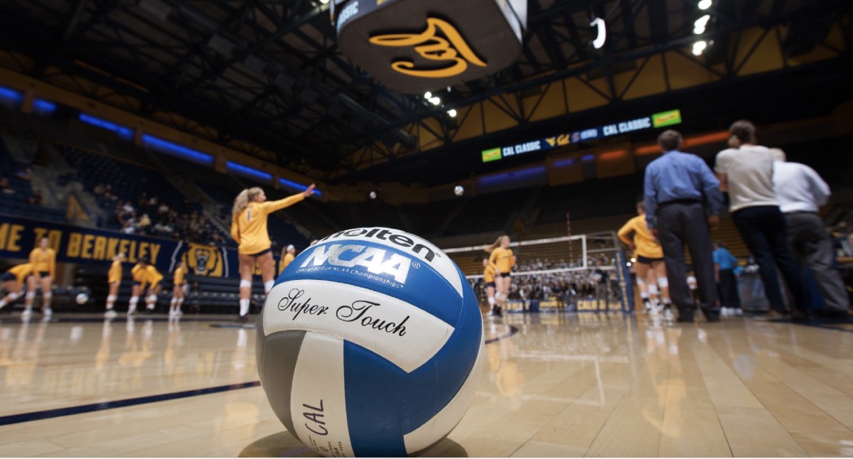 Cal volleyball at Haas Pavilion