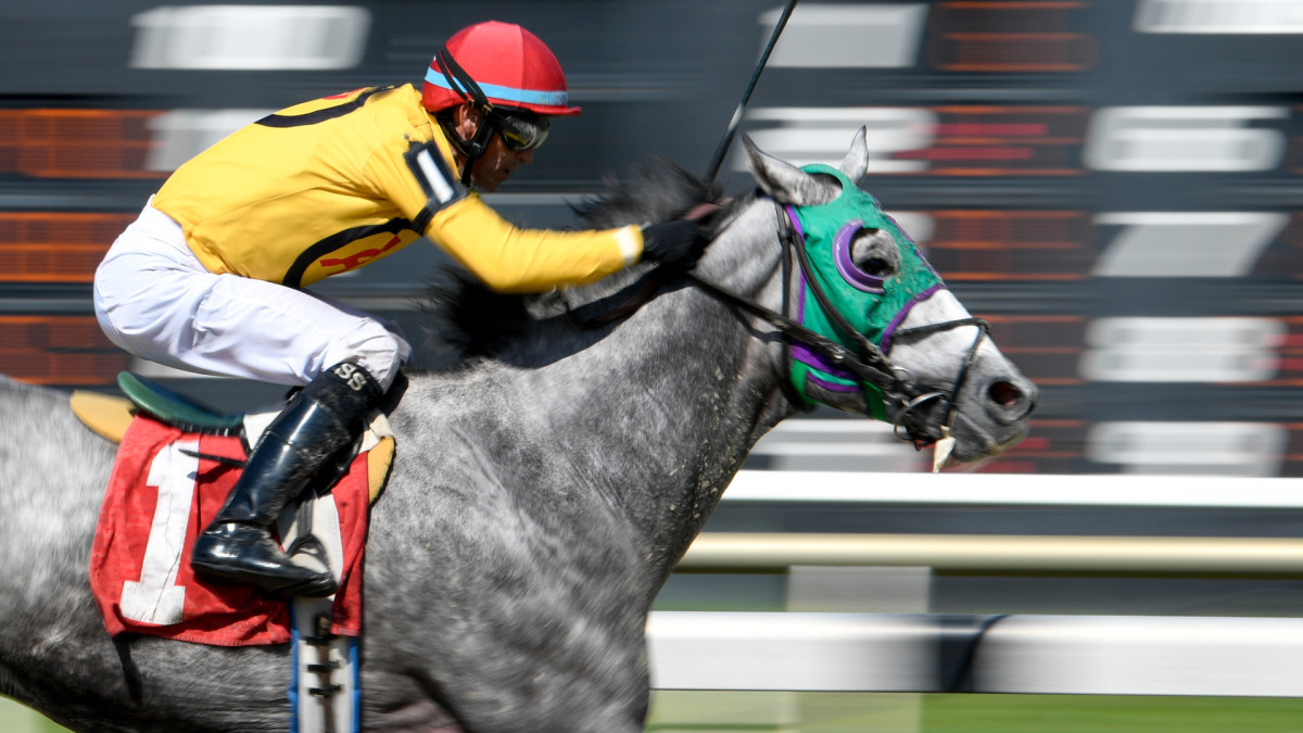 Horse Race of the Week Tampa Bay Derby Stakes, Odds & Betting Plays
