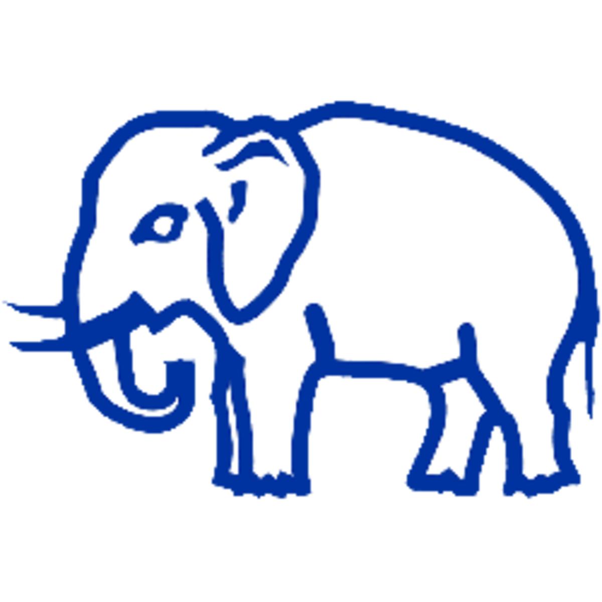 elephant