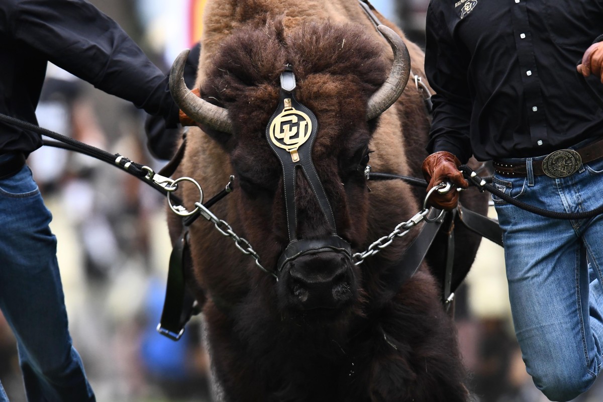 Cu Buffs Land Top Kicker In The Nation Sports Illustrated Colorado Buffaloes News Analysis 2082