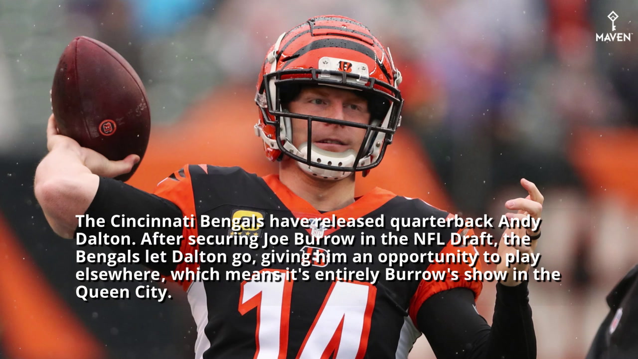 Andy Dalton's career-day boosts Bengals - ESPN - Cincinnati