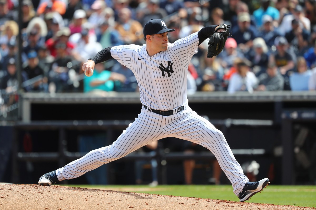 Gerrit Cole backyard pitching: Adam Ottavino posts pictures of Yankees' ace  pitching during MLB delay - Sports Illustrated NY Yankees News, Analysis  and More