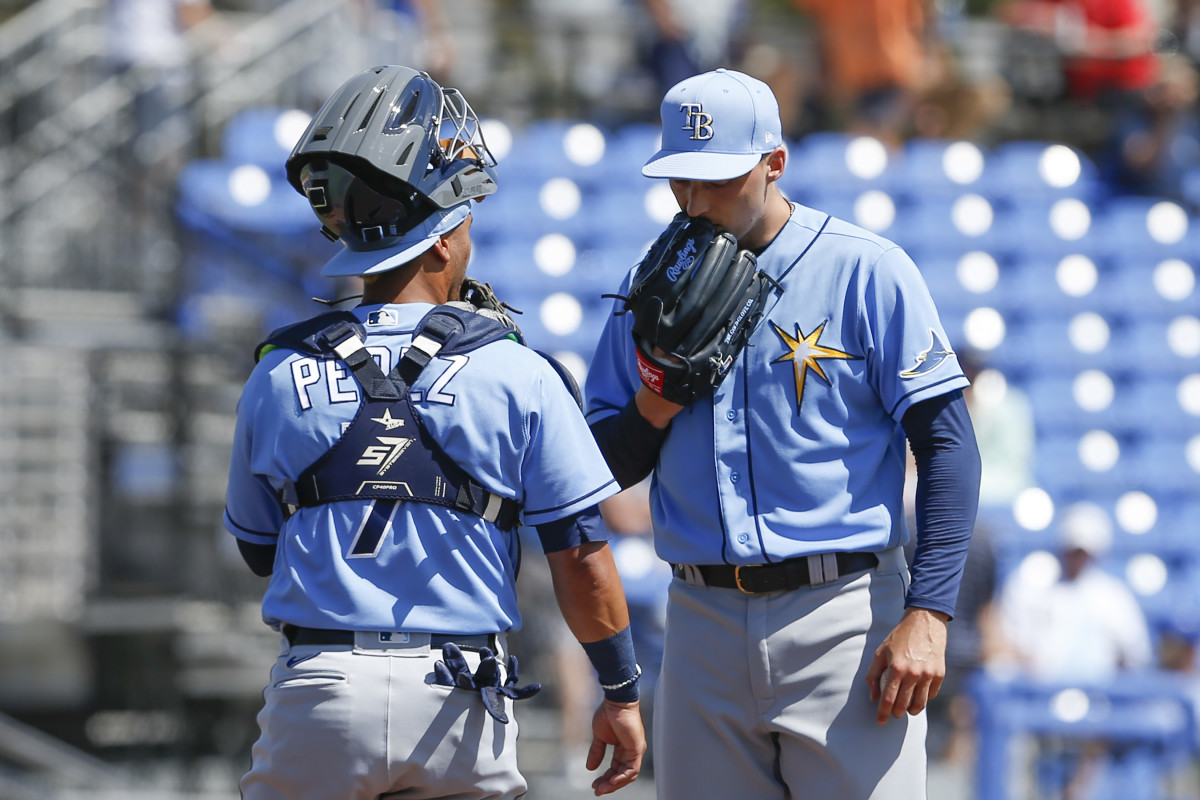 Tampa Bay Rays Pet Jersey