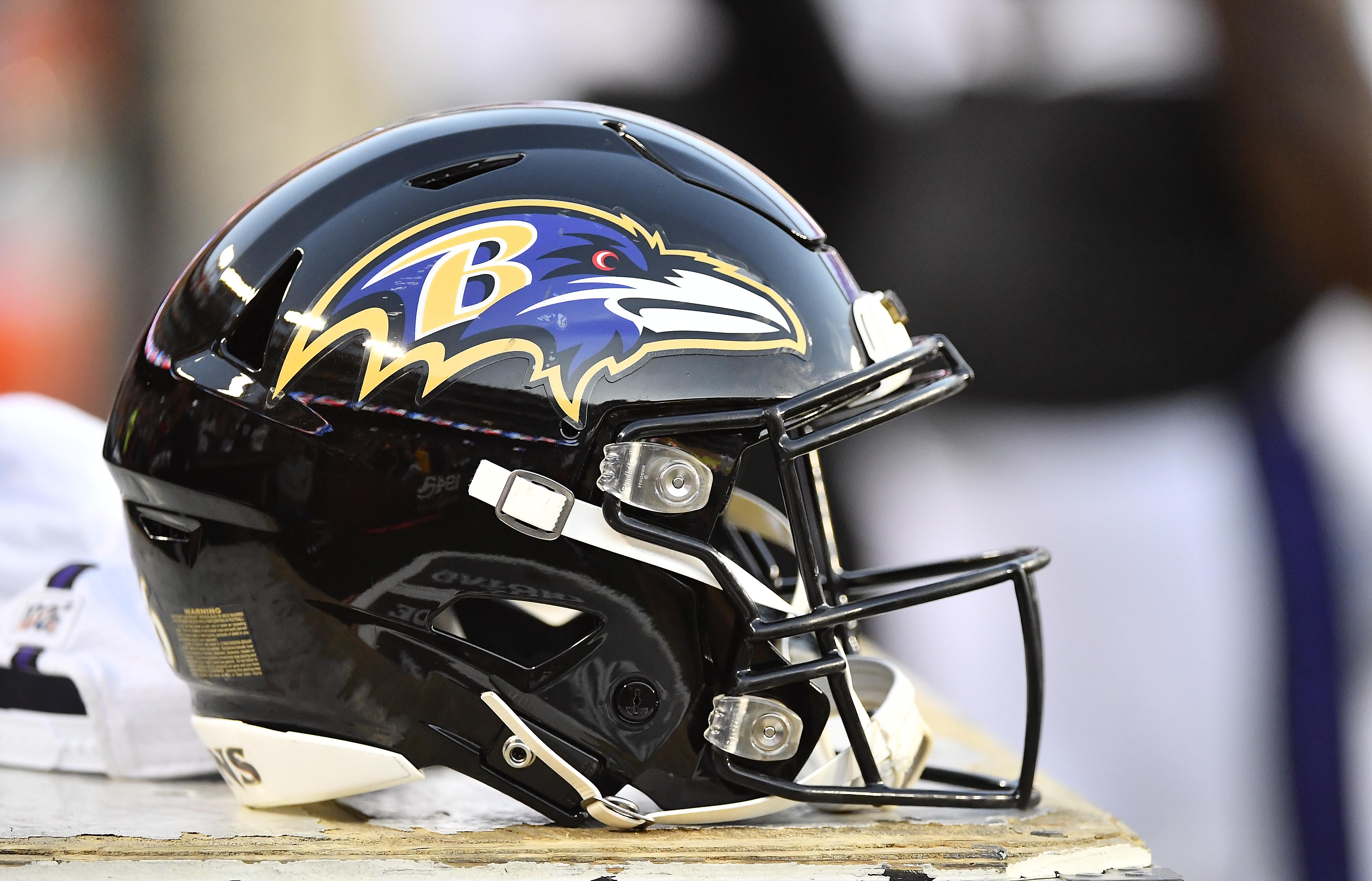 : NFL Baltimore Ravens End Zone Team Color Flex