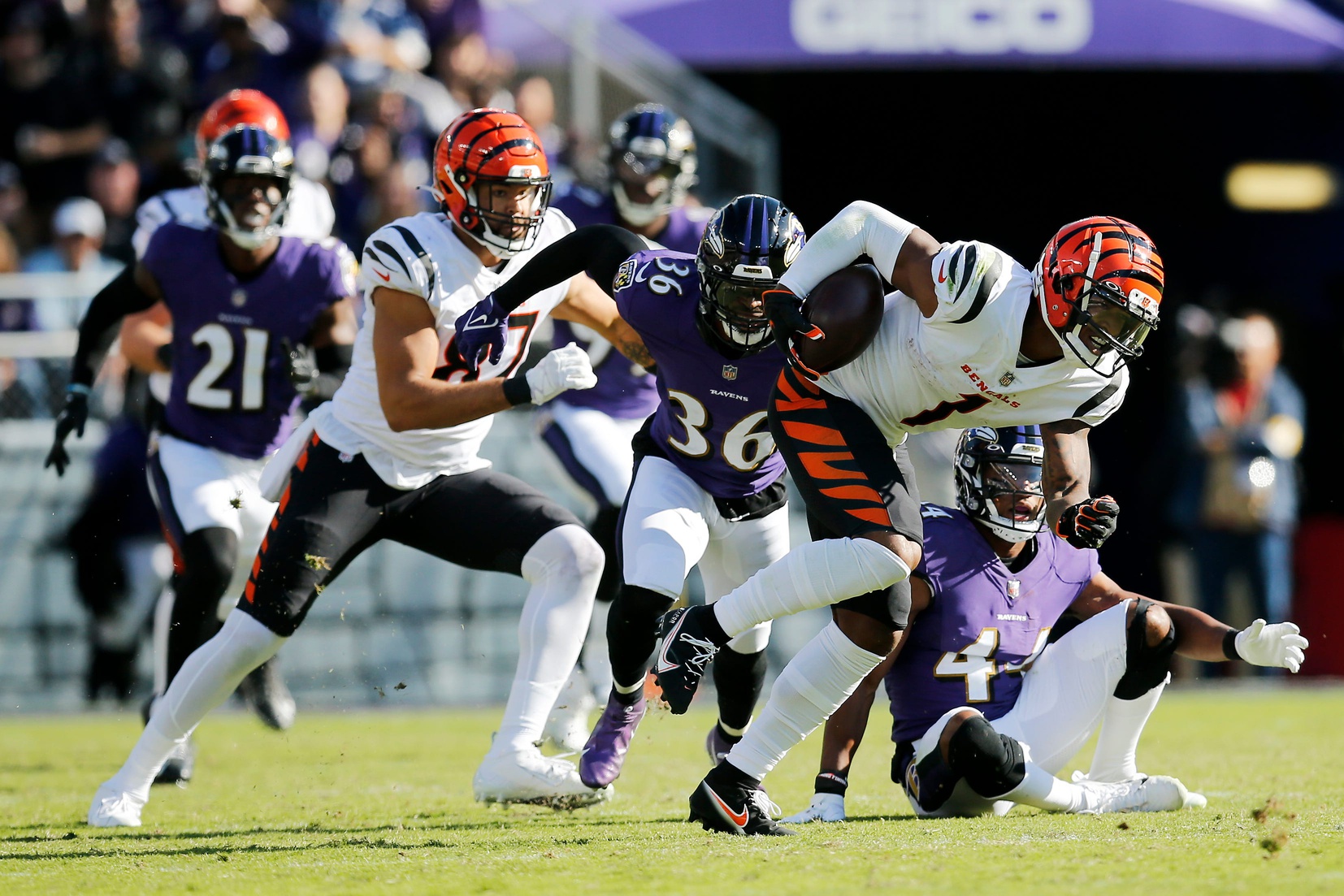 Cincinnati Bengals Not Favored to Win AFC North, Despite Being in First ...