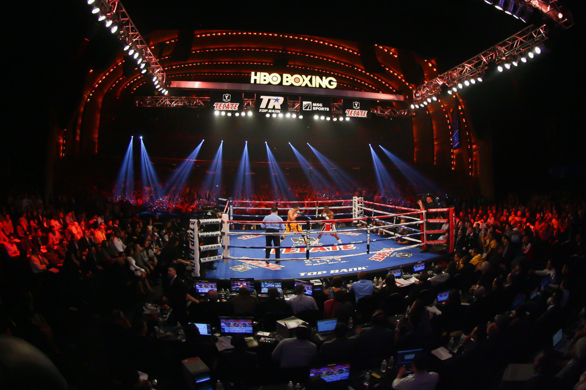 Boxing Streams. Boxing Live. YELLOBOX трансляция. Boks live