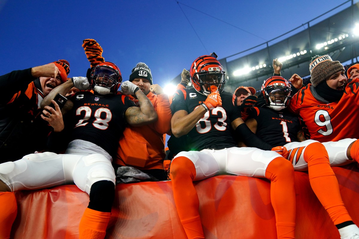 Who will the Bengals play in the Divisional Round of the playoffs?