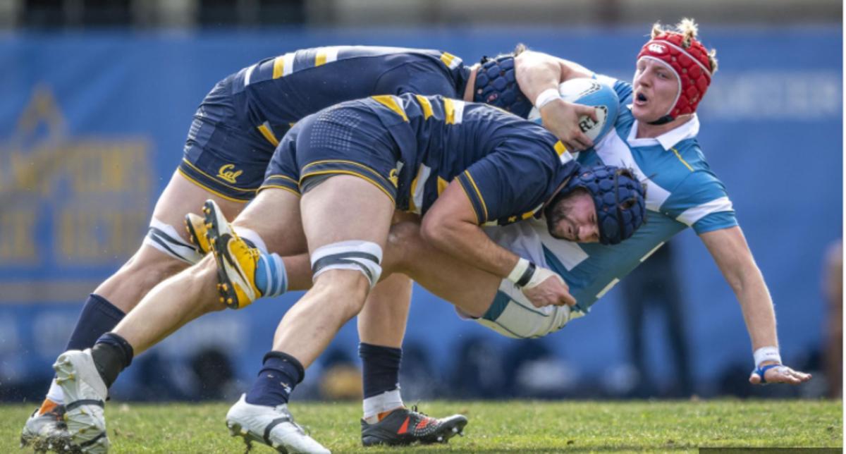 Cal Rugby Tops UCLA to Win Dennis Storer Classic Sports Illustrated
