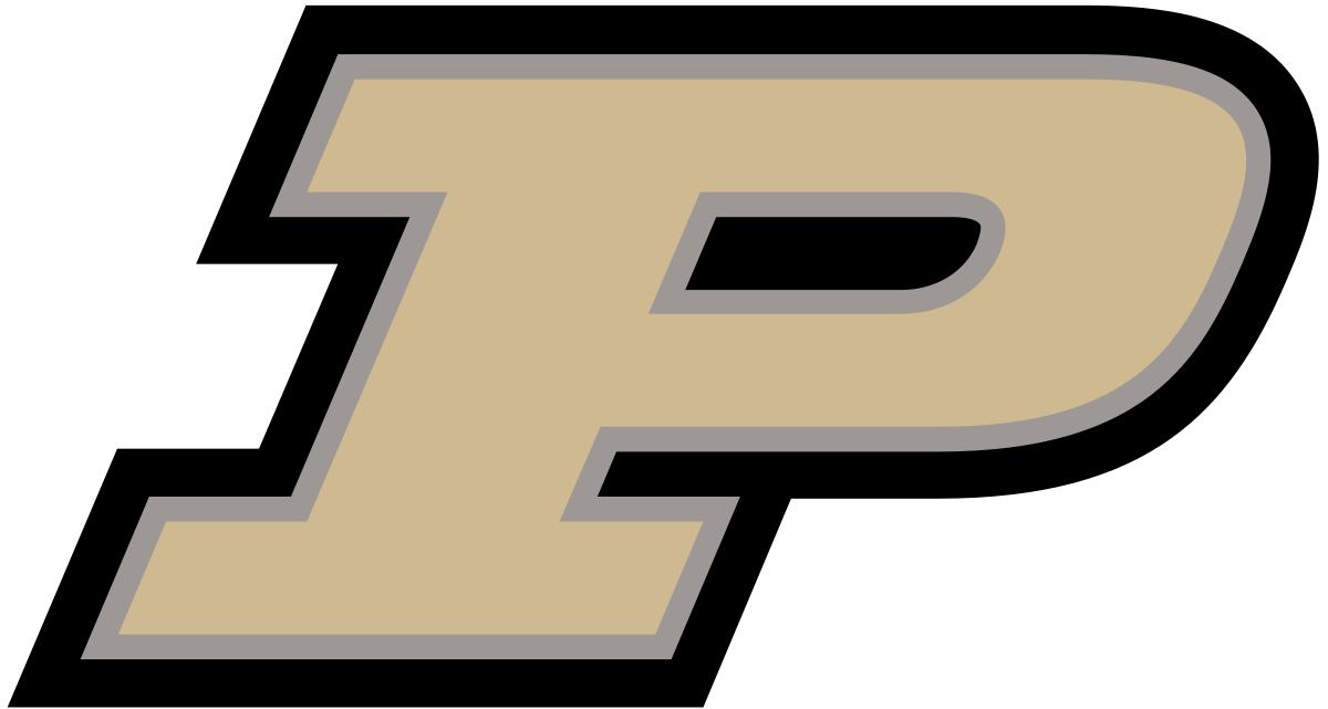 NFL Draft Profile: DaMarcus Mitchell, Defensive End, Purdue