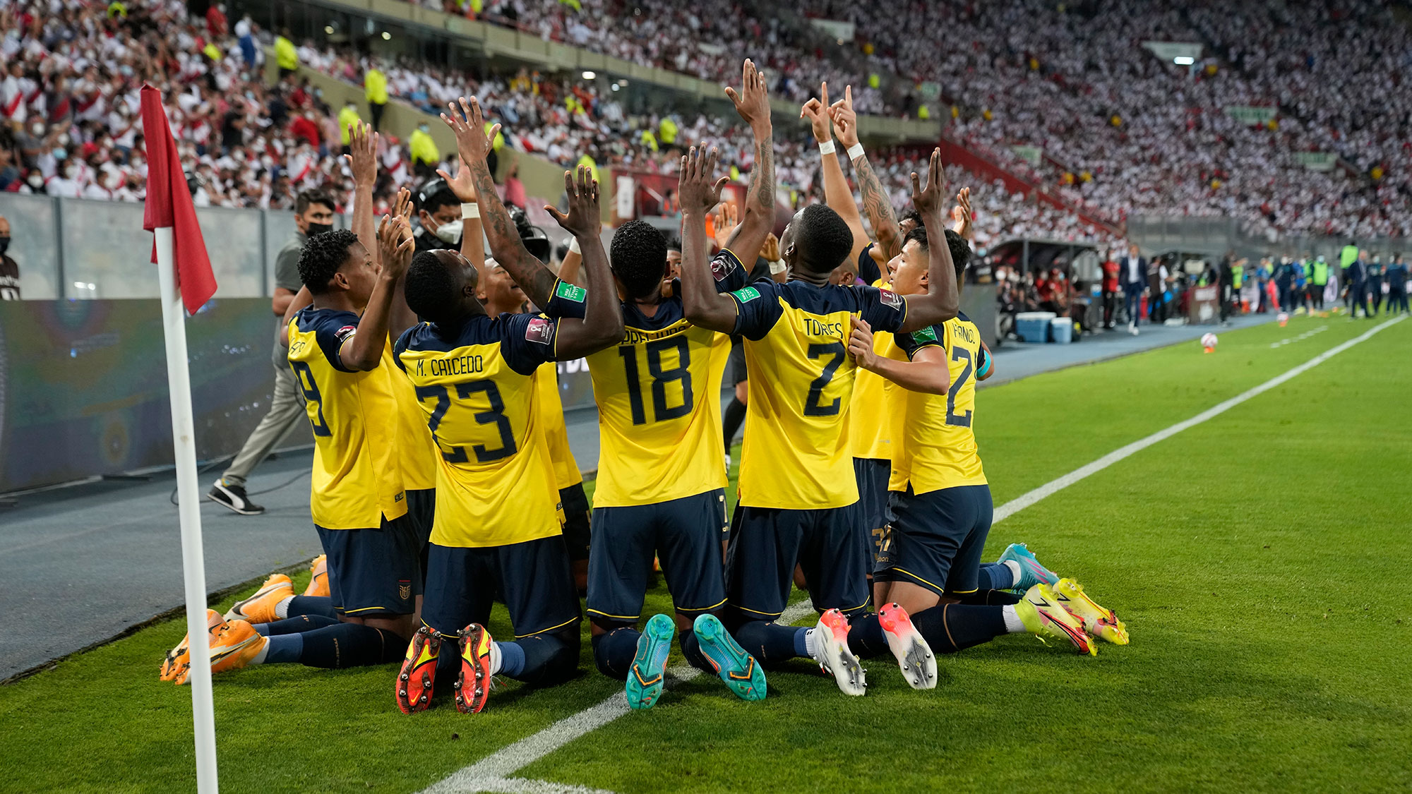 Ecuador National Soccer Team Qatar World Cup 2022 Champions Soccer