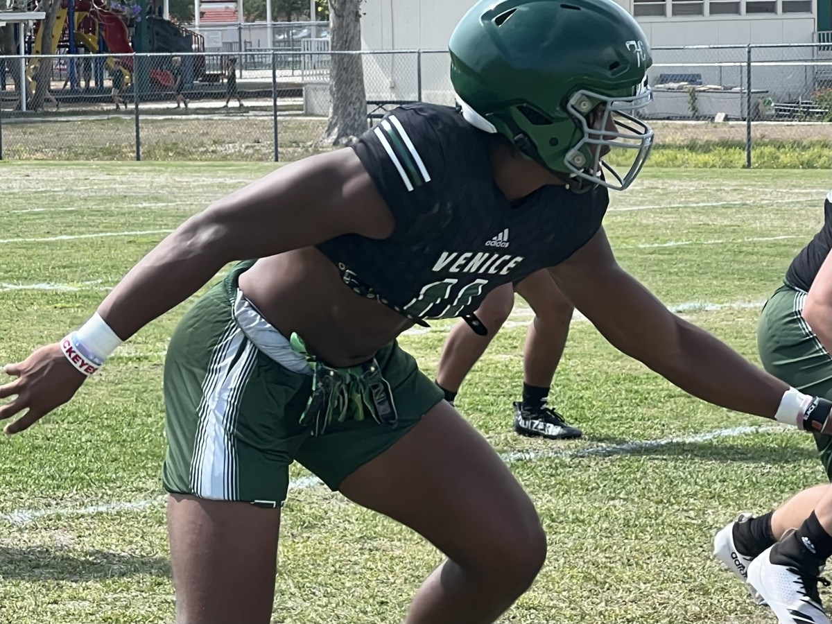 Damon Wilson Defensive End Venice (Fla.) High School - 2023