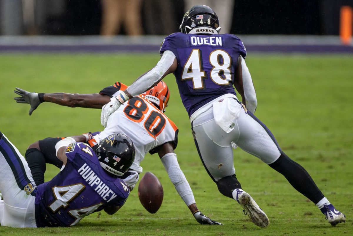 Baltimore Ravens inside linebacker Patrick Queen (48) reacts after