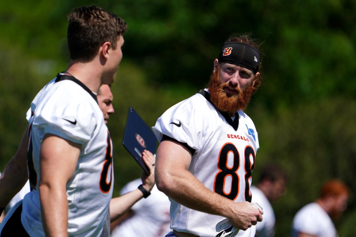 Hayden Hurst - NFL Tight end - News, Stats, Bio and more - The Athletic