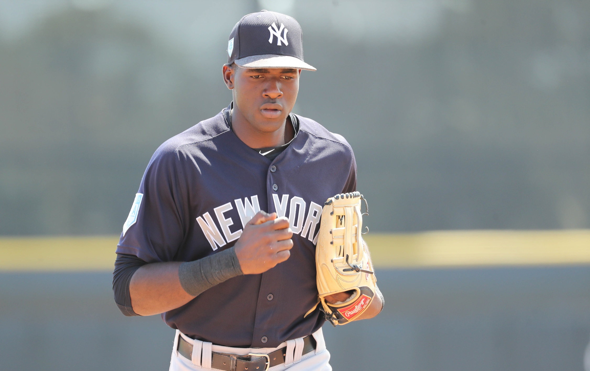 September 9, 2017 - Trenton, New Jersey, U.S - 19-year-old ESTEVAN FLORIAL,  one of the top Yankees prospects, seen here in the Trenton Thunder dugout  on Sept. 9, 2017, was added to