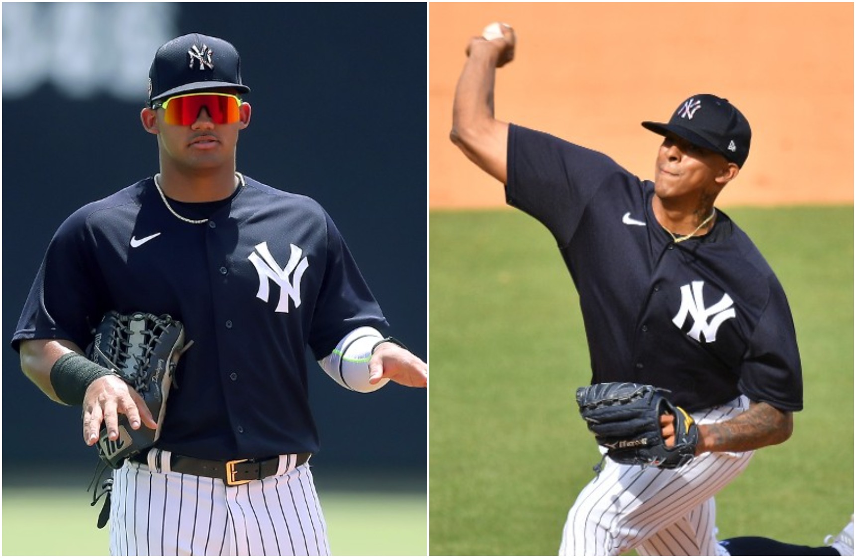 Jasson Dominguez and three more Yankees prospects that could be future  stars - Newsday