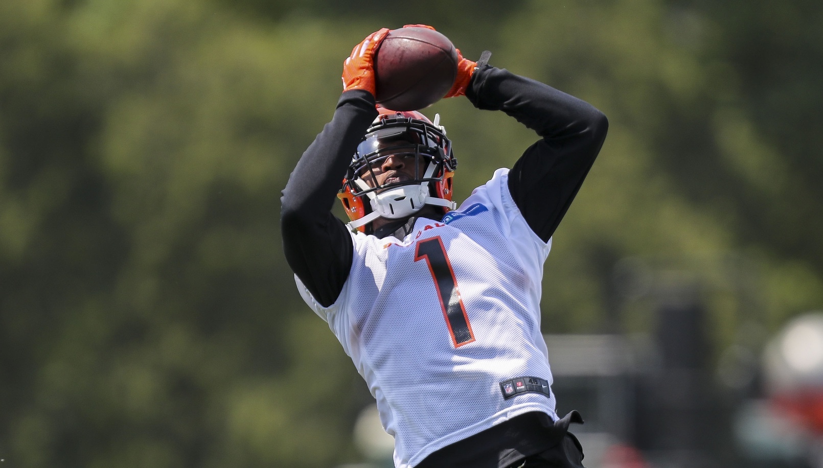 Highlights From Bengals Training Camp  Tee Higgins and Ja'Marr Chase Make  Big Plays 