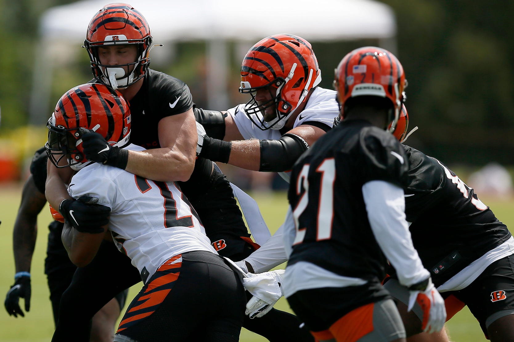 Bengals tease new uniform combo with help from famous sportscaster