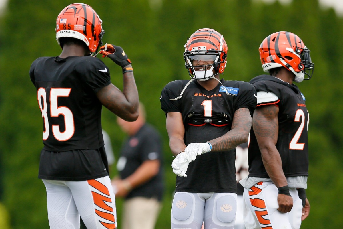 Bengals defense shines in preseason opening win over Buccaneers